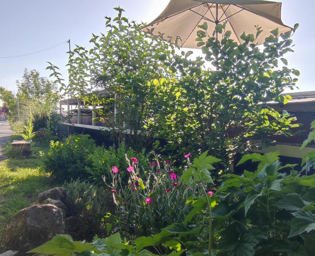 Thourotte Bateau Entre Lille Et Paris Bed & Breakfast エクステリア 写真