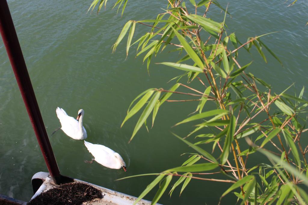 Thourotte Bateau Entre Lille Et Paris Bed & Breakfast エクステリア 写真